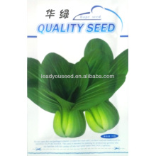 PK03 Hualv disease resistant f1 hybrid pakchoi seeds